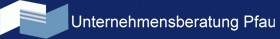 Unternehmensberatung Pfau